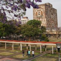 UNAM informa regreso a clases presenciales en todos sus planteles