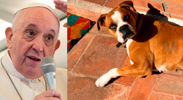 Papa Francisco critica parejas  que no quieren tener hijos pero tienen perros o gatos
