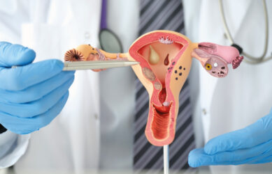 Endometrio Utero