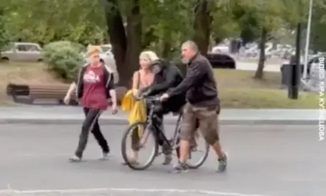 Chimpancé escapa de zoológico de Ucrania y cuidadores lo convencen de regresar en bicicleta (video)