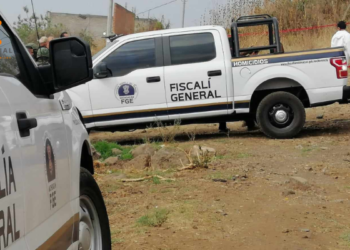 Hallan 2 cadáveres en fosa clandestina la colonia Ciudad Jardín 
