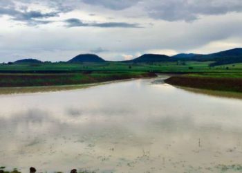 Tras labores de limpieza, renace laguna de Zinciro, en Erongarícuaro: Sader