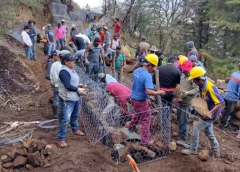 Agrosano refuerza conservación del lago de Pátzcuaro y sus manantiales: Sader