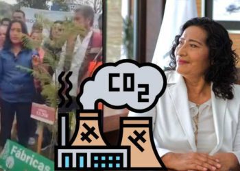 Tunden en redes a alcaldesa de Acapulco por decir que los árboles producen “dióxido de carbono”