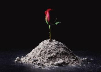 Entregaban cenizas falsas en crematorio de Ciudad Juárez; hallan 383 cuerpos sin incinerar