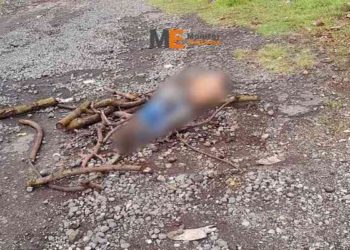 Localizan a un hombre asesinado cerca de la carretera “libre” Uruapan-Pátzcuaro