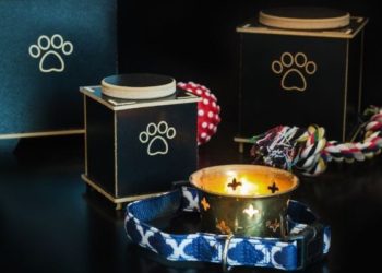 Investigan fraude en crematorio de mascotas en Chetumal; hallan decenas de cuerpos abandonados