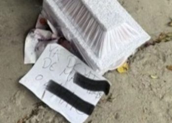 Amenazan de muerte a activista animalista en Edomex tras denunciar desaparición de perros