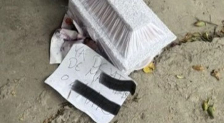 Amenazan de muerte a activista animalista en Edomex tras denunciar desaparición de perros