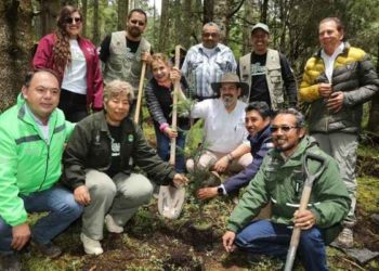 Reforestadas más de 2 mil hectáreas en la Reserva de la Biosfera de la Mariposa Monarca: Secma
