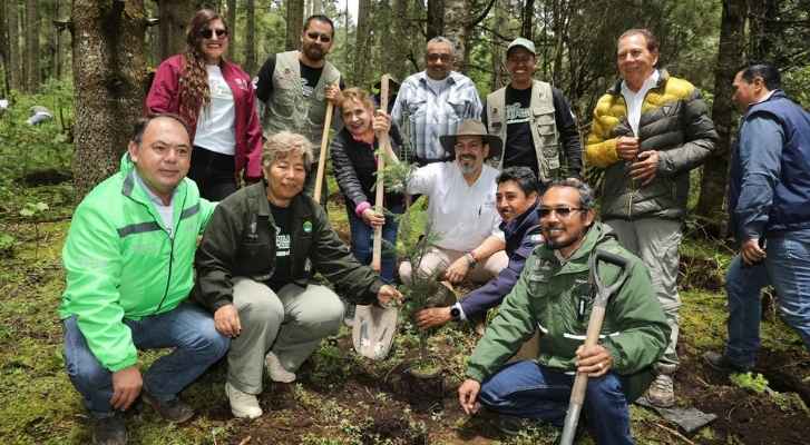 Reforestadas más de 2 mil hectáreas en la Reserva de la Biosfera de la Mariposa Monarca: Secma