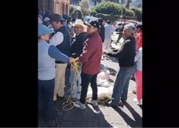 Vecinos de El Oro amarran a funcionarios por crisis en recolección de basura