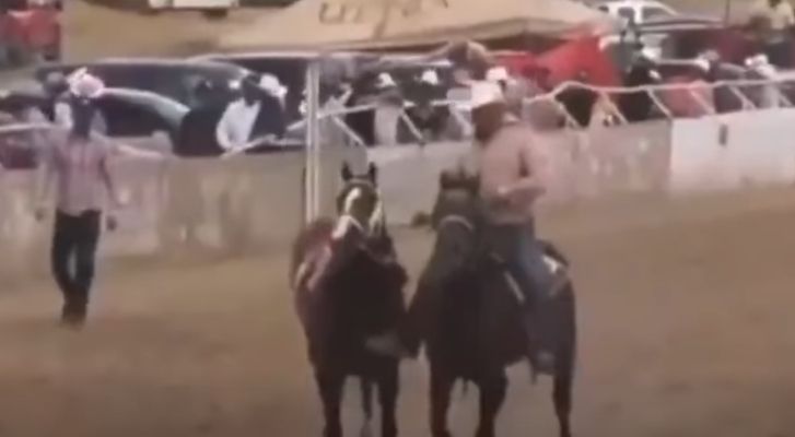 Balacera en carrera de caballos en Chihuahua deja al menos 8 muertos y más de 6 heridos