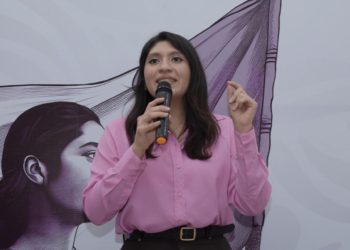 Propone Alejandra Anguiano crear registro de agresores sexuales en Michoacán: Seimujer