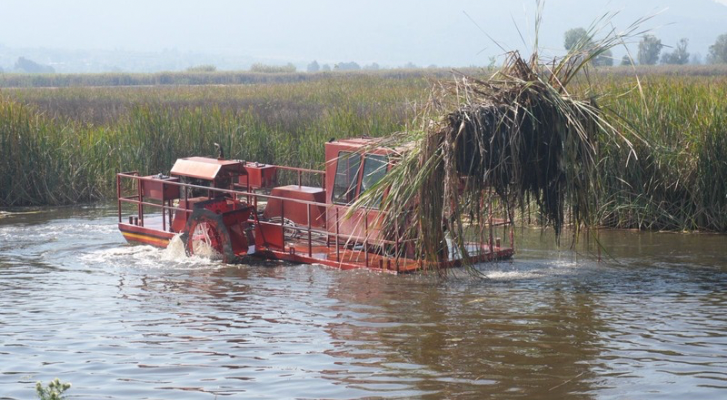 Inicia la rehabilitación estratégica del canal de Jarácuaro en el lago de Pátzcuaro