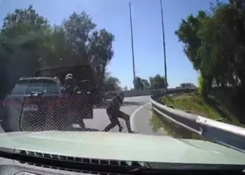 Conductor arrolla a asaltante al intentar huir de robo en autopista de Chile